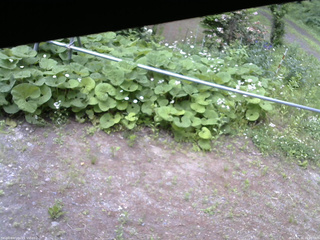 長野県菅平高原 ゆたか山荘 駐車場 2026/06/11 16:00