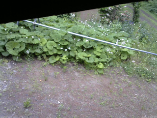 長野県菅平高原 ゆたか山荘 駐車場 2026/06/11 16:15