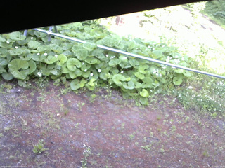 長野県菅平高原 ゆたか山荘 駐車場 2026/06/11 16:45