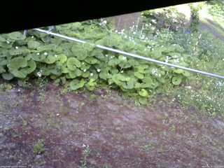 長野県菅平高原 ゆたか山荘 駐車場 2026/06/11 17:15