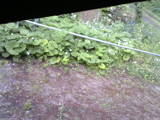 長野県菅平高原 ゆたか山荘 駐車場 2026/06/11 17:30