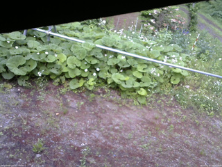 長野県菅平高原 ゆたか山荘 駐車場 2026/06/11 18:00