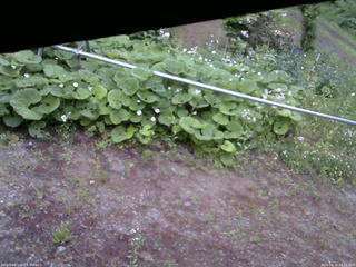 長野県菅平高原 ゆたか山荘 駐車場 2026/06/11 18:15