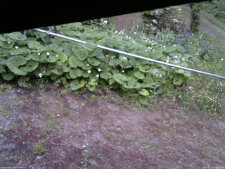 長野県菅平高原 ゆたか山荘 駐車場 2026/06/11 18:45