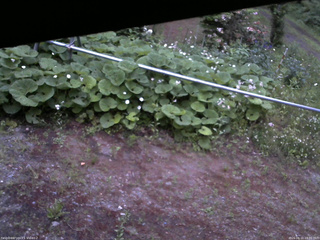 長野県菅平高原 ゆたか山荘 駐車場 2026/06/11 19:00