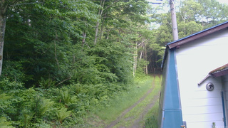 長野県菅平高原 ゆたか山荘 ゆたか山荘 2026/06/11 05:00