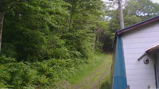 長野県菅平高原 ゆたか山荘 ゆたか山荘 2026/06/11 13:45