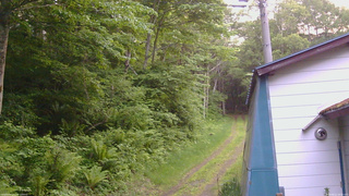 長野県菅平高原 ゆたか山荘 ゆたか山荘 2026/06/11 18:45