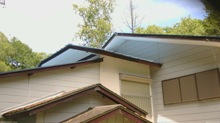 長野県菅平高原 ゆたか山荘 駐車場奥 2026/06/11 10:45