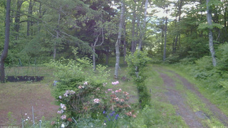 長野県菅平高原 ゆたか山荘 坂上 2026/06/11 05:00