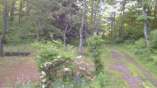 長野県菅平高原 ゆたか山荘 坂上 2026/06/11 05:15