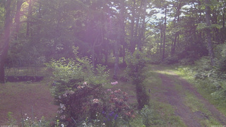長野県菅平高原 ゆたか山荘 坂上 2026/06/11 07:15