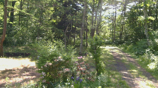 長野県菅平高原 ゆたか山荘 坂上 2026/06/11 08:15