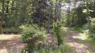 長野県菅平高原 ゆたか山荘 坂上 2026/06/11 08:45