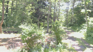 長野県菅平高原 ゆたか山荘 坂上 2026/06/11 09:00