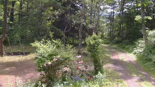 長野県菅平高原 ゆたか山荘 坂上 2026/06/11 09:15