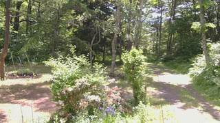 長野県菅平高原 ゆたか山荘 坂上 2026/06/11 09:30
