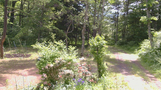 長野県菅平高原 ゆたか山荘 坂上 2026/06/11 09:45