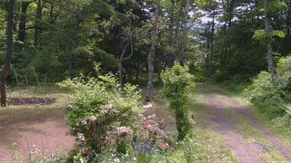 長野県菅平高原 ゆたか山荘 坂上 2026/06/11 10:00