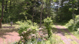 長野県菅平高原 ゆたか山荘 坂上 2026/06/11 10:15