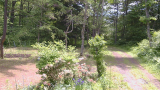 長野県菅平高原 ゆたか山荘 坂上 2026/06/11 10:30