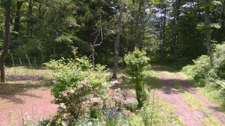 長野県菅平高原 ゆたか山荘 坂上 2026/06/11 10:45