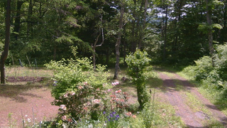 長野県菅平高原 ゆたか山荘 坂上 2026/06/11 11:00