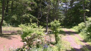 長野県菅平高原 ゆたか山荘 坂上 2026/06/11 11:15