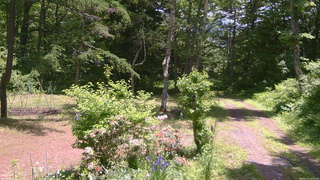 長野県菅平高原 ゆたか山荘 坂上 2026/06/11 11:30