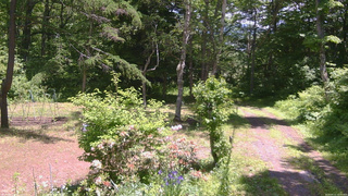 長野県菅平高原 ゆたか山荘 坂上 2026/06/11 11:45