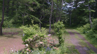 長野県菅平高原 ゆたか山荘 坂上 2026/06/11 12:00