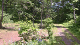 長野県菅平高原 ゆたか山荘 坂上 2026/06/11 12:30