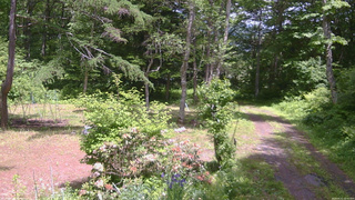 長野県菅平高原 ゆたか山荘 坂上 2026/06/11 12:45