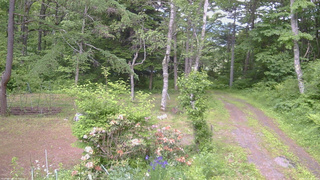 長野県菅平高原 ゆたか山荘 坂上 2026/06/11 13:00