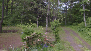長野県菅平高原 ゆたか山荘 坂上 2026/06/11 13:45