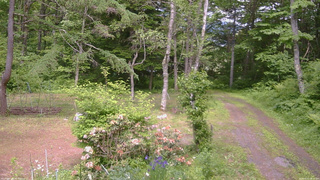 長野県菅平高原 ゆたか山荘 坂上 2026/06/11 14:00