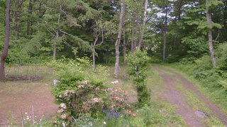 長野県菅平高原 ゆたか山荘 坂上 2026/06/11 14:15