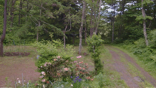 長野県菅平高原 ゆたか山荘 坂上 2026/06/11 14:30