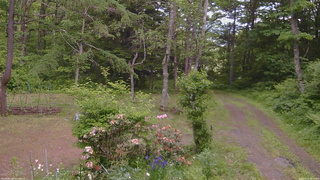 長野県菅平高原 ゆたか山荘 坂上 2026/06/11 14:45