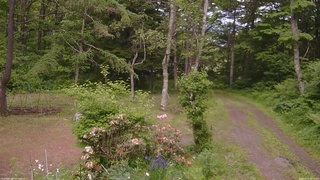 長野県菅平高原 ゆたか山荘 坂上 2026/06/11 15:00