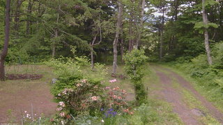 長野県菅平高原 ゆたか山荘 坂上 2026/06/11 15:15