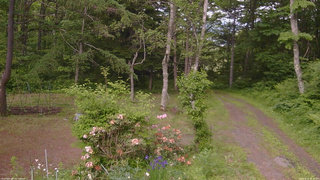 長野県菅平高原 ゆたか山荘 坂上 2026/06/11 15:30