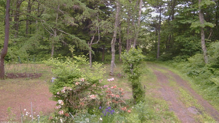 長野県菅平高原 ゆたか山荘 坂上 2026/06/11 15:45