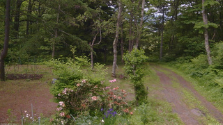 長野県菅平高原 ゆたか山荘 坂上 2026/06/11 16:00