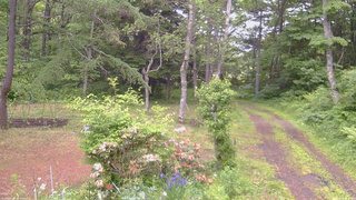 長野県菅平高原 ゆたか山荘 坂上 2026/06/11 16:30