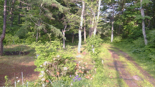 長野県菅平高原 ゆたか山荘 坂上 2026/06/11 16:45