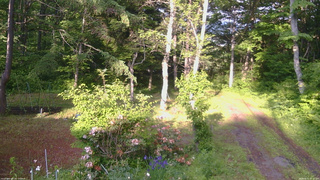 長野県菅平高原 ゆたか山荘 坂上 2026/06/11 17:15