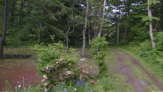 長野県菅平高原 ゆたか山荘 坂上 2026/06/11 17:45