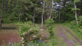 長野県菅平高原 ゆたか山荘 坂上 2026/06/11 18:00