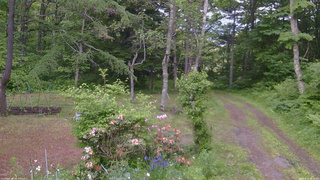 長野県菅平高原 ゆたか山荘 坂上 2026/06/11 18:15